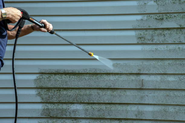 Best Power Washing Near Me  in Mccullom Lake, IL